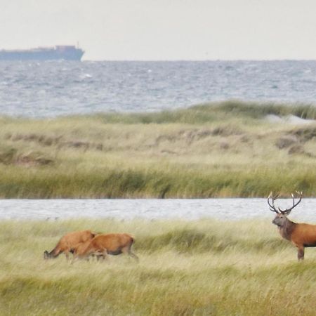 Fewo-Kramm Ostseebad เดียร์ฮาเกิน ภายนอก รูปภาพ